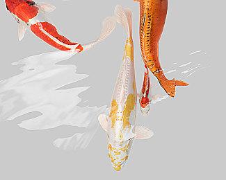 《使命召唤®：黑色行动7》将于11月14日全球发行    现已开放Steam预购